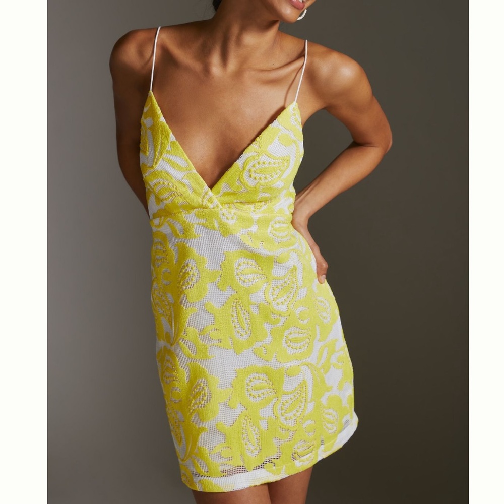 Anthropologie Dress